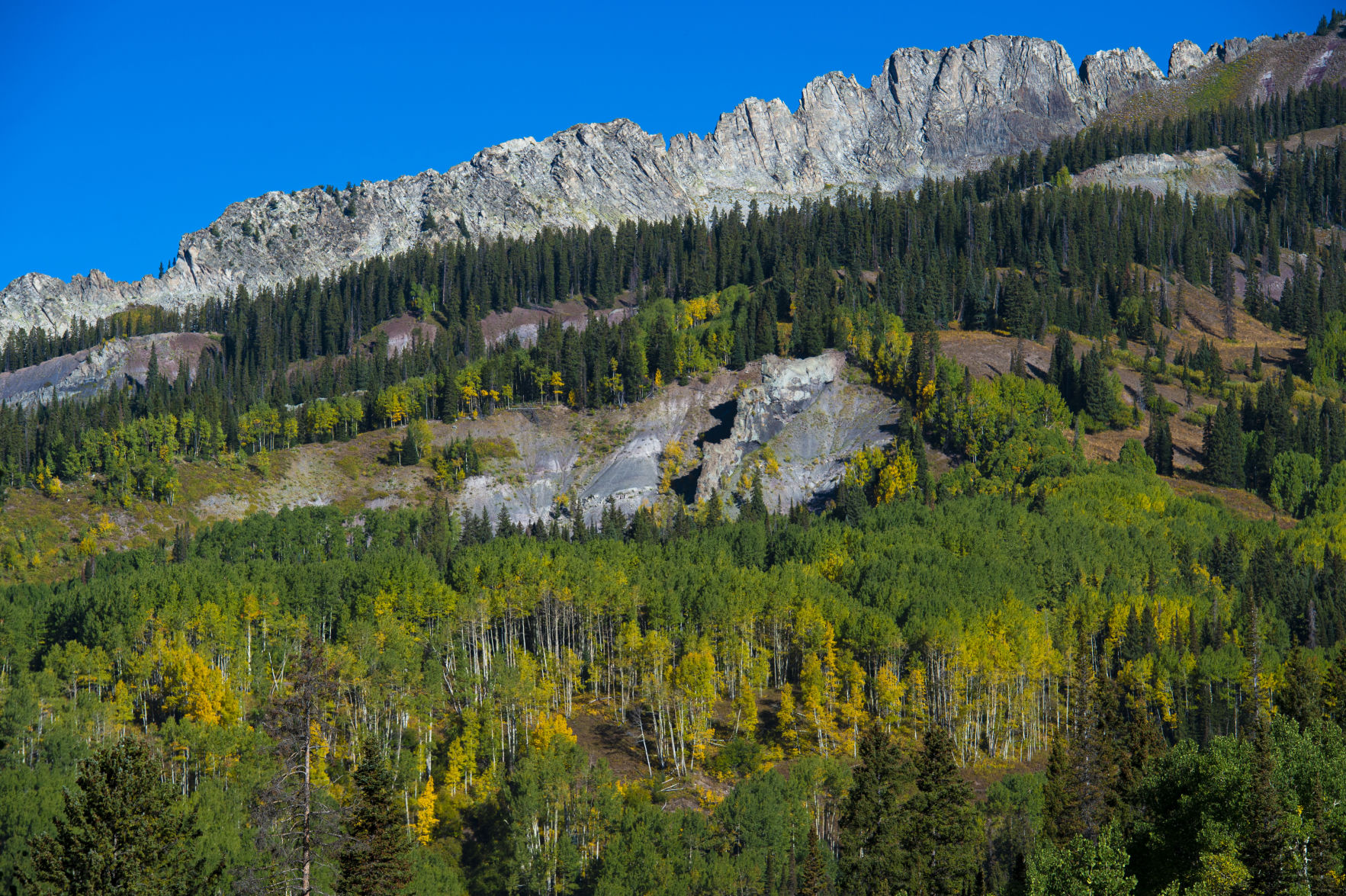 09_25_19 crested butte1670.jpg